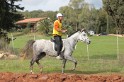IMGB0483