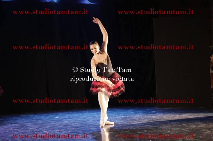 MAT_8953.JPG