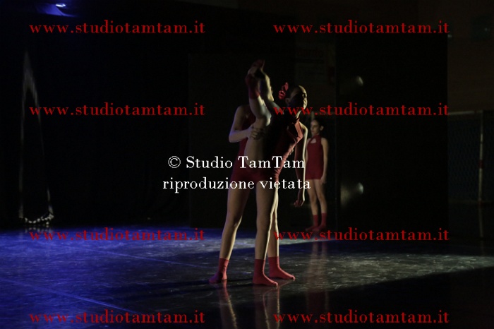 MAT_9418.JPG