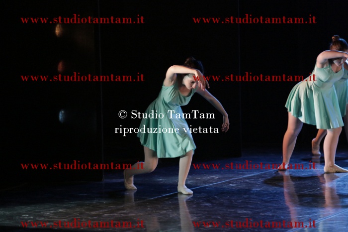 MAT_9830.JPG