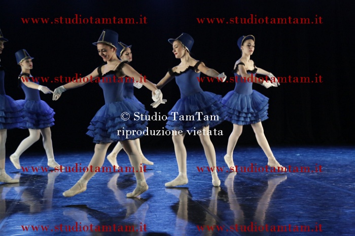 MAT_9947.JPG