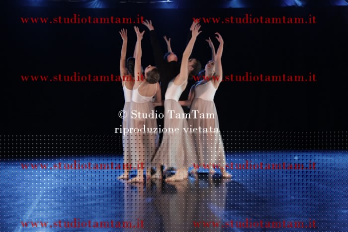 MAT_0449.JPG