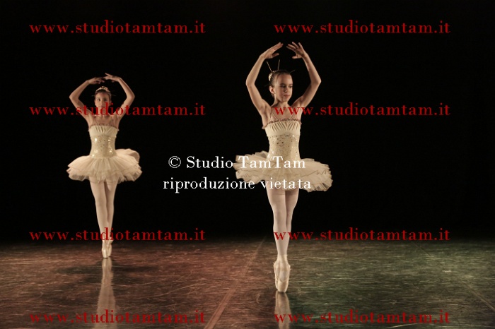 MAT_0485.JPG
