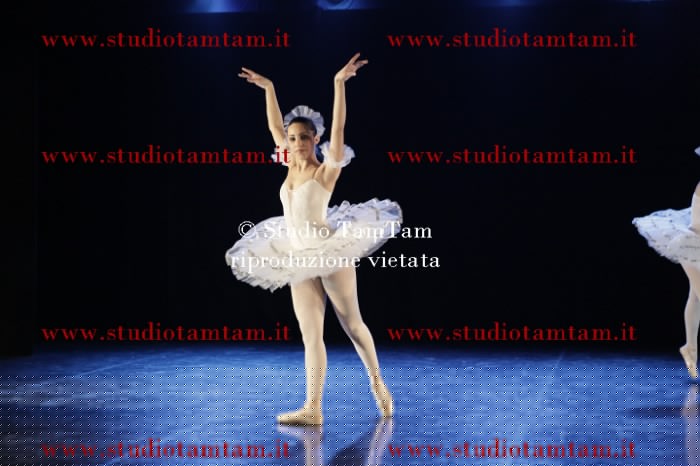 MAT_0543.JPG