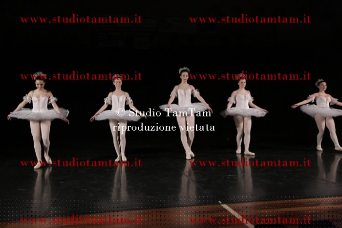 MAT_0569.JPG