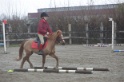 MAT_1529