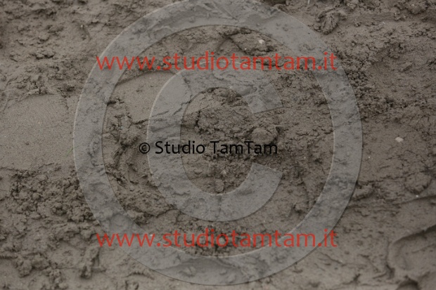 MAT_2380.JPG