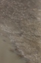 MAT_2113