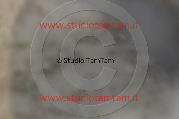 MAT_2713.JPG
