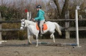 MAT_3403