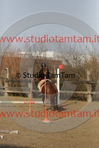 MAT_3683.JPG