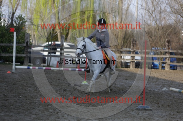 MAT_3700.JPG