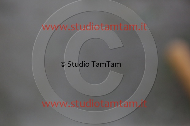MAT_3780.JPG