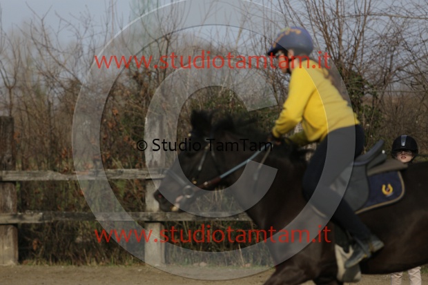 MAT_3929.JPG
