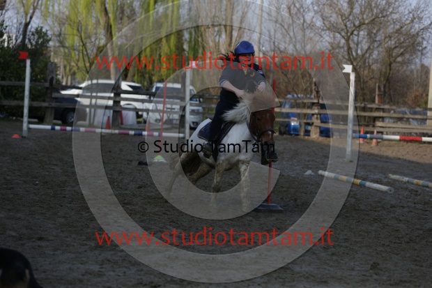 MAT_3955.JPG