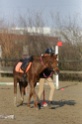 MAT_3679