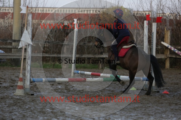 MAT_8733.JPG