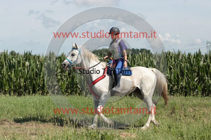 IMGB1465.JPG