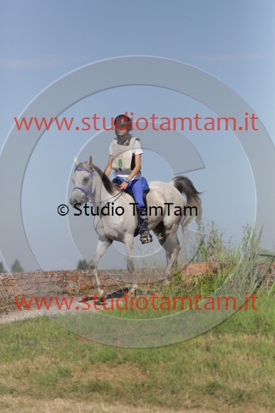 MAT_2230.JPG