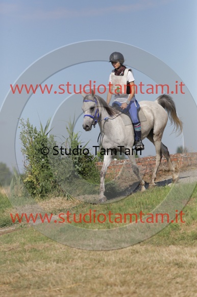 MAT_2235.JPG