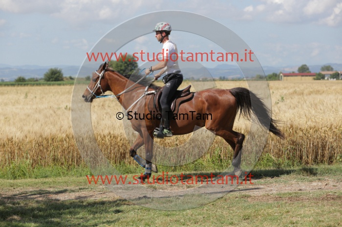 MAT_2434.JPG