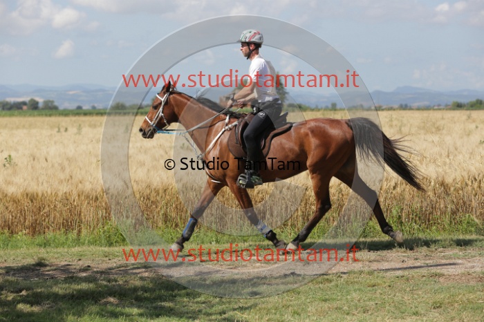 MAT_2435.JPG