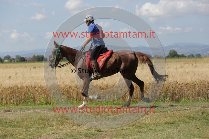 MAT_2535.JPG