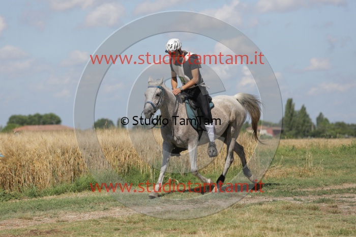 MAT_2558.JPG