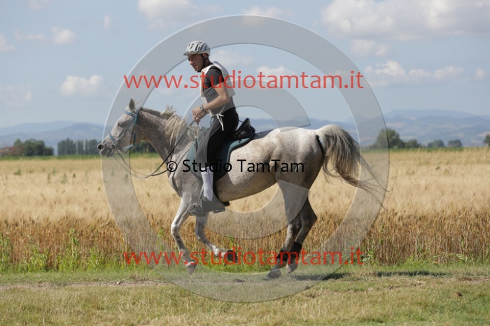 MAT_2578.JPG