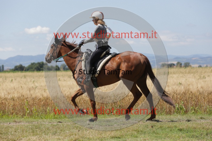 MAT_2638.JPG
