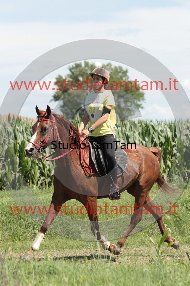 IMGB1579.JPG