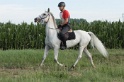 IMGB1135