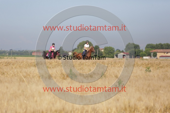 MAT_2003.JPG