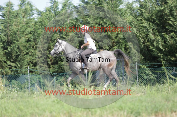 MAT_2056.JPG