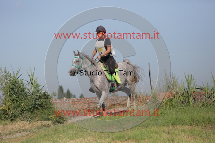 MAT_2086.JPG