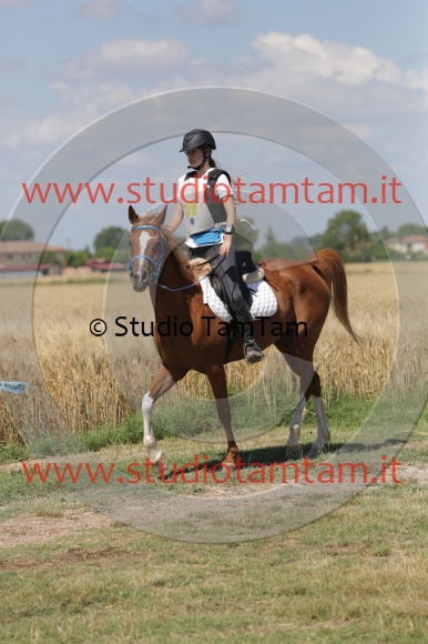 MAT_2647.JPG