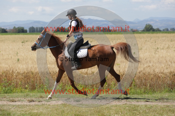MAT_2656.JPG