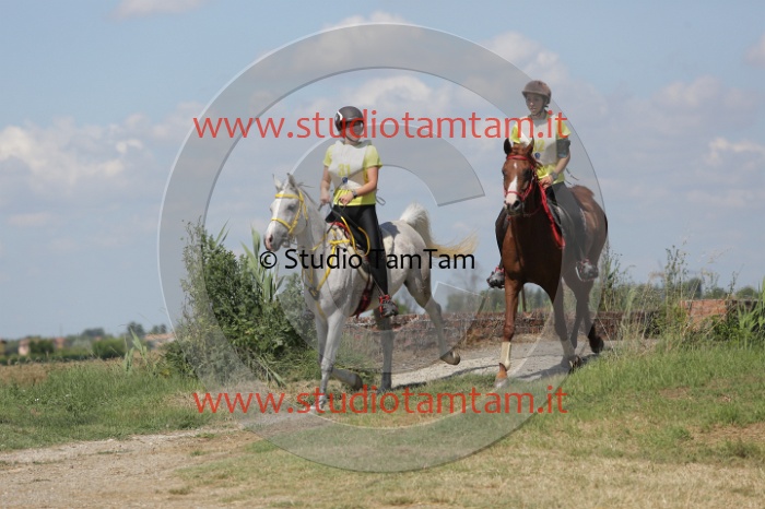 MAT_2700.JPG