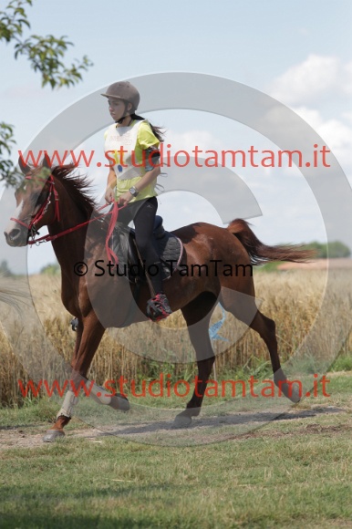 MAT_2709.JPG