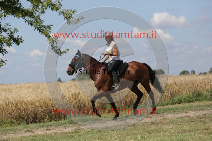 MAT_2723.JPG