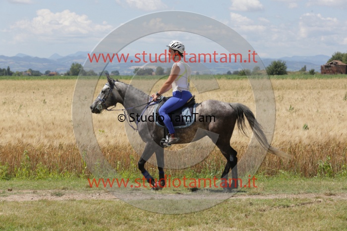 MAT_2796.JPG