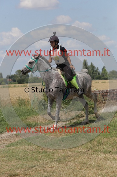 MAT_2825.JPG