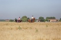 MAT_2004
