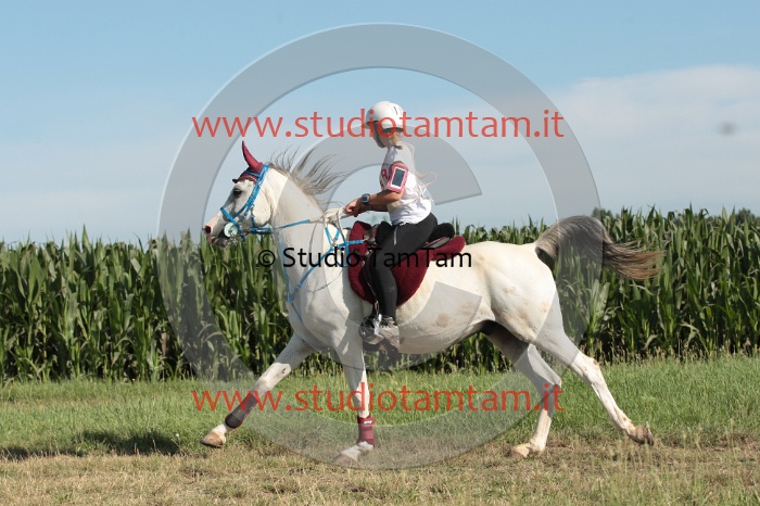 IMGB1211.JPG