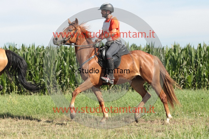 IMGB1318.JPG