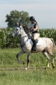 IMGB1282