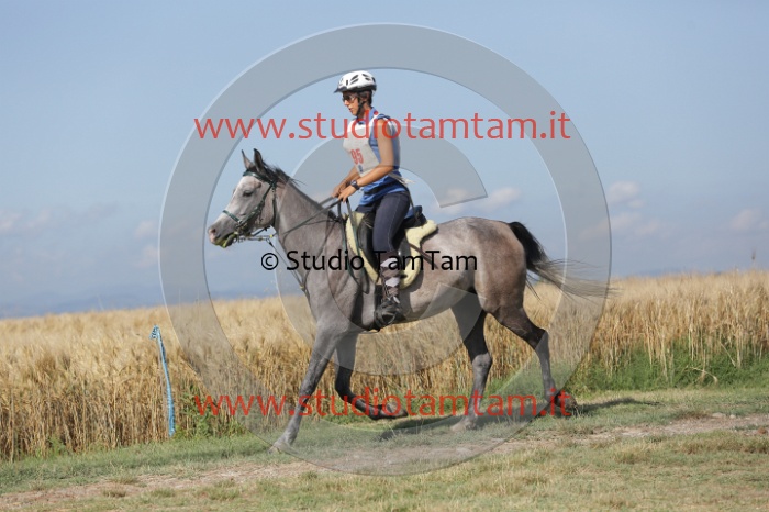 MAT_2104.JPG