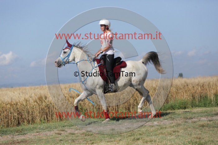MAT_2161.JPG