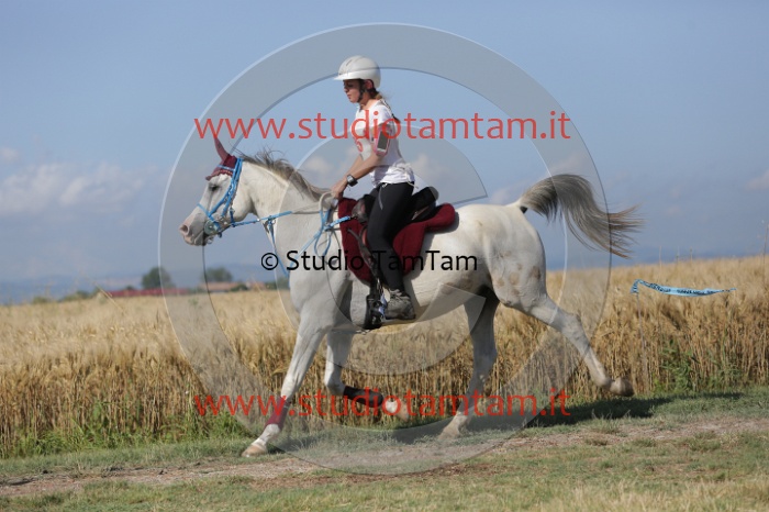 MAT_2164.JPG