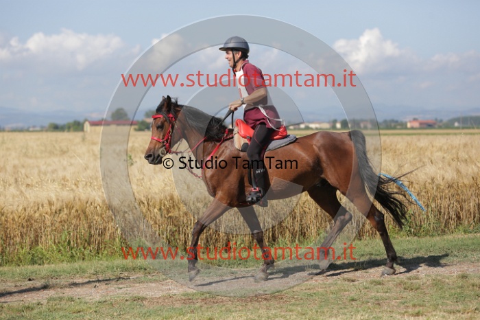 MAT_2208.JPG